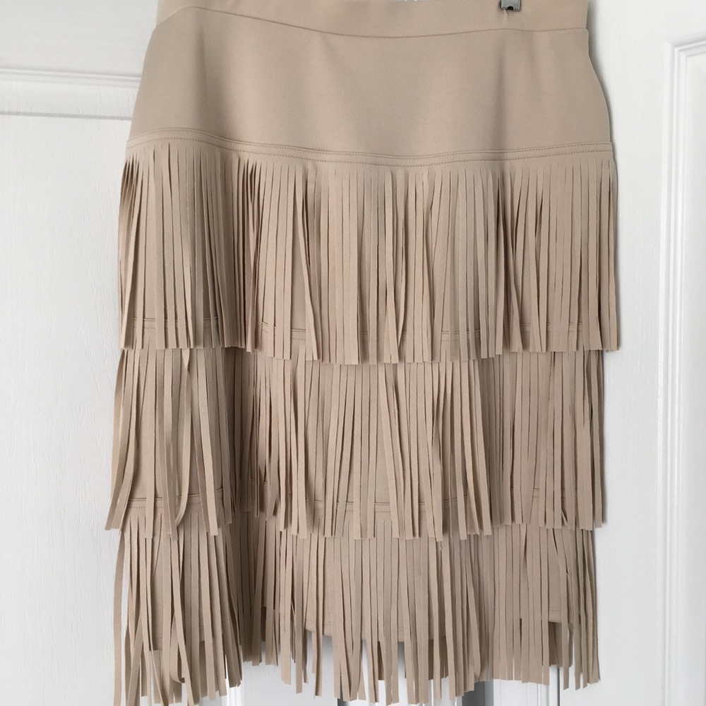 Beautiful skirt with fringe. Never worn.
